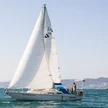 9e5d78d9-f1b8-4f5f-9c5e-42029532f45c-sg_600_375_1.png
